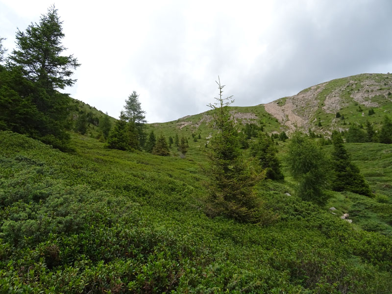 Catena dei Lagorai...da Pergine al Passo del Manghen